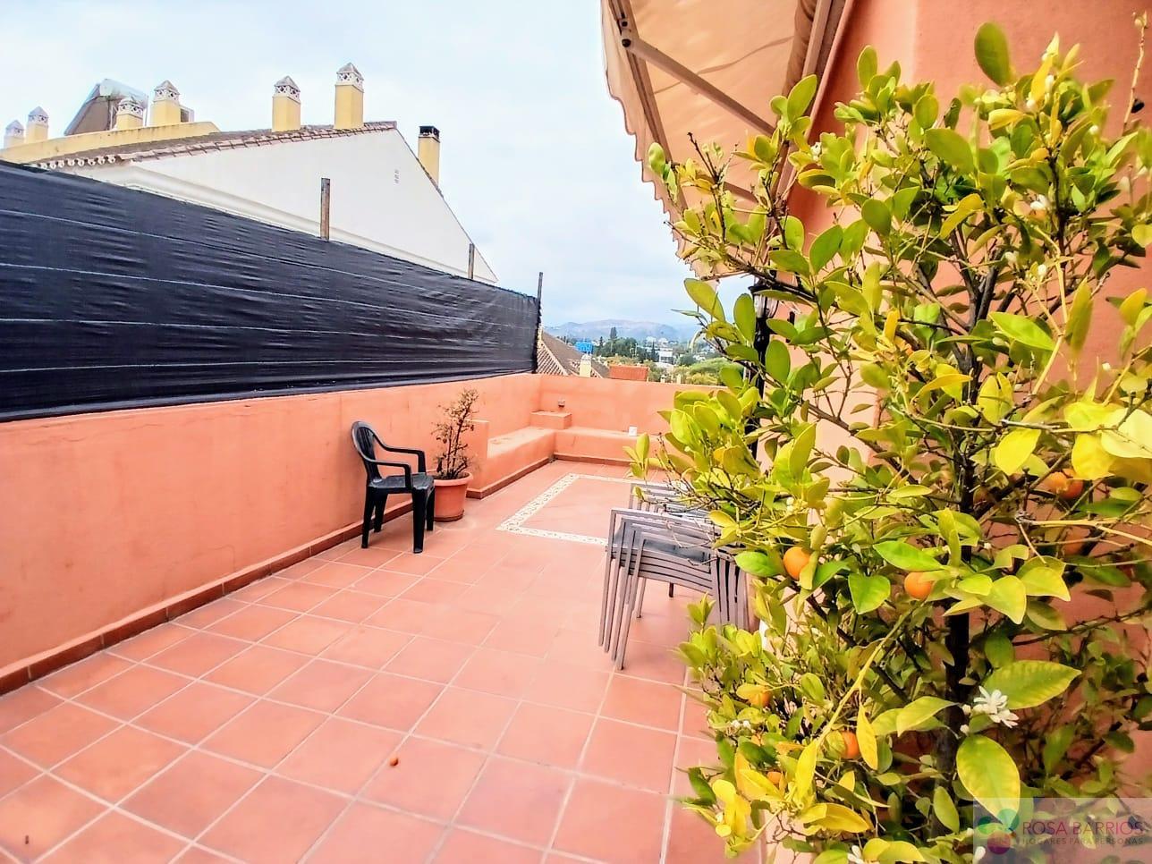 For sale of chalet in San Pedro de Alcántara