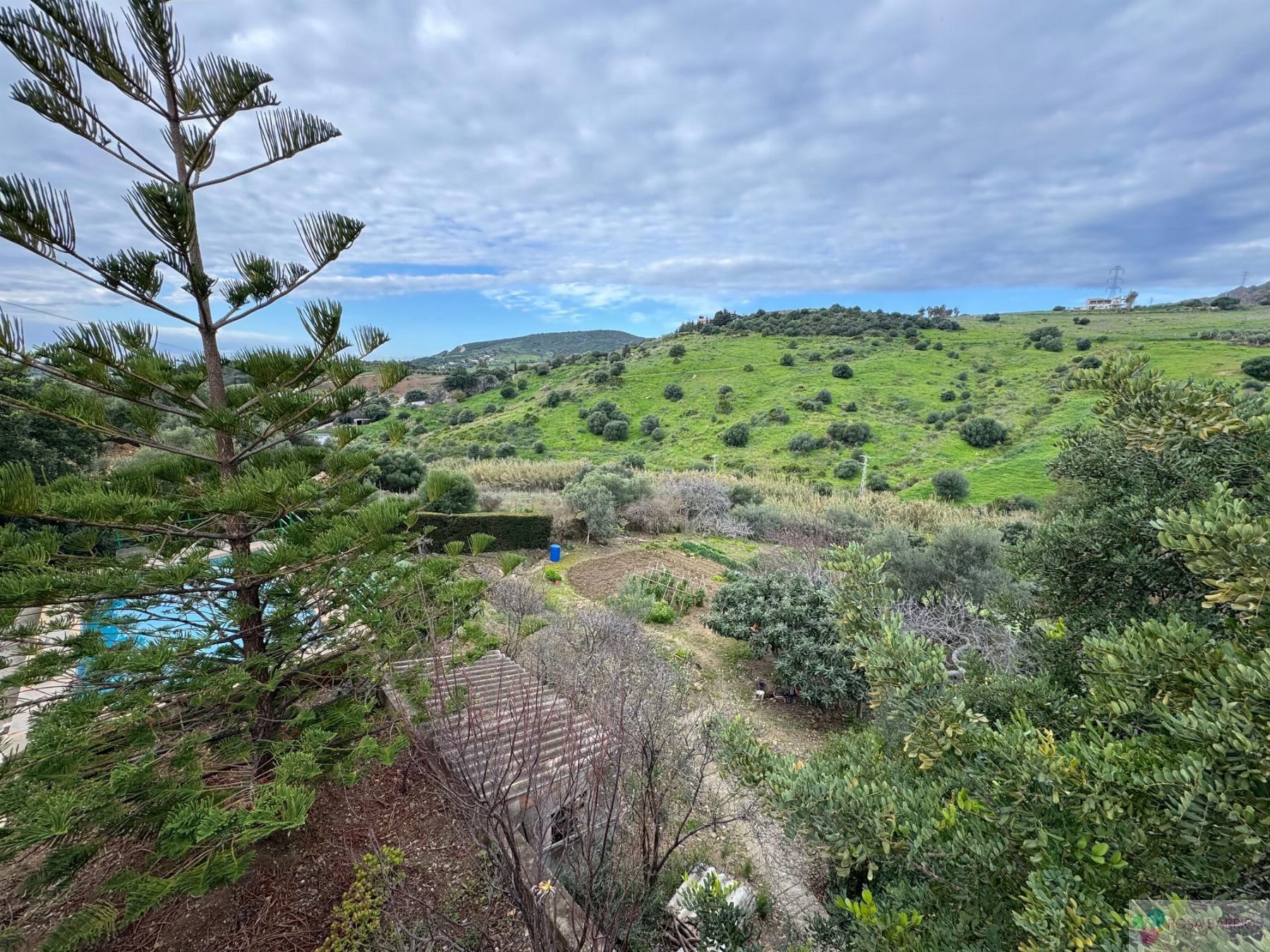 For sale of chalet in Estepona