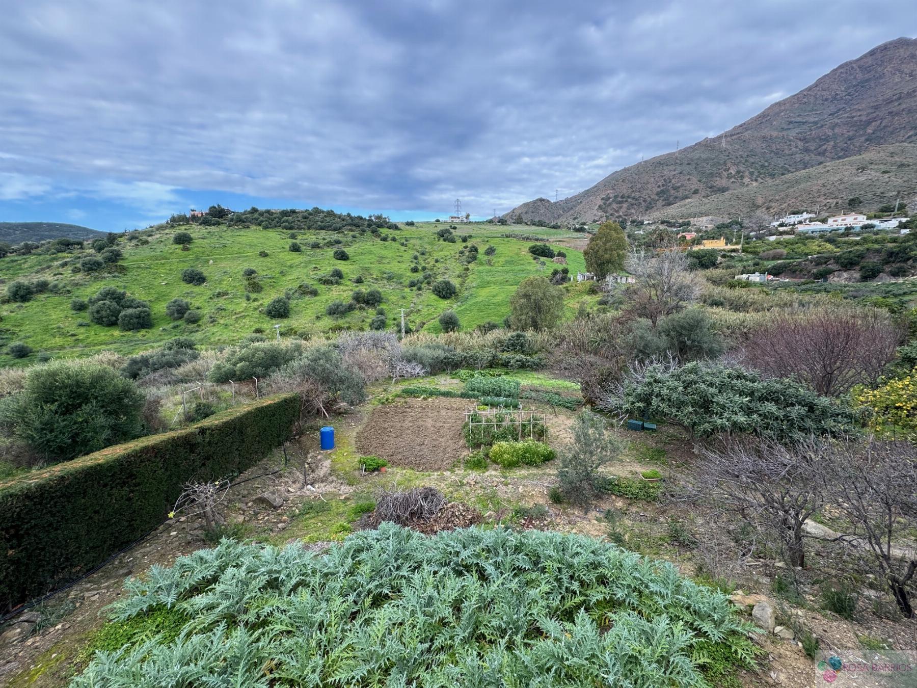 For sale of chalet in Estepona