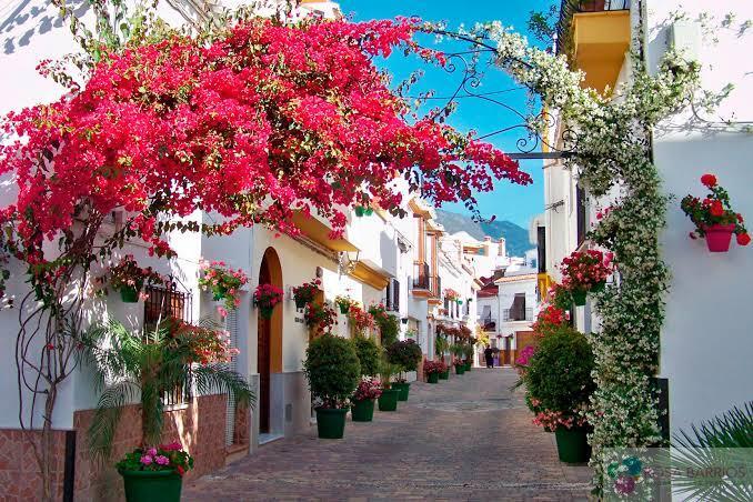 Alrededores