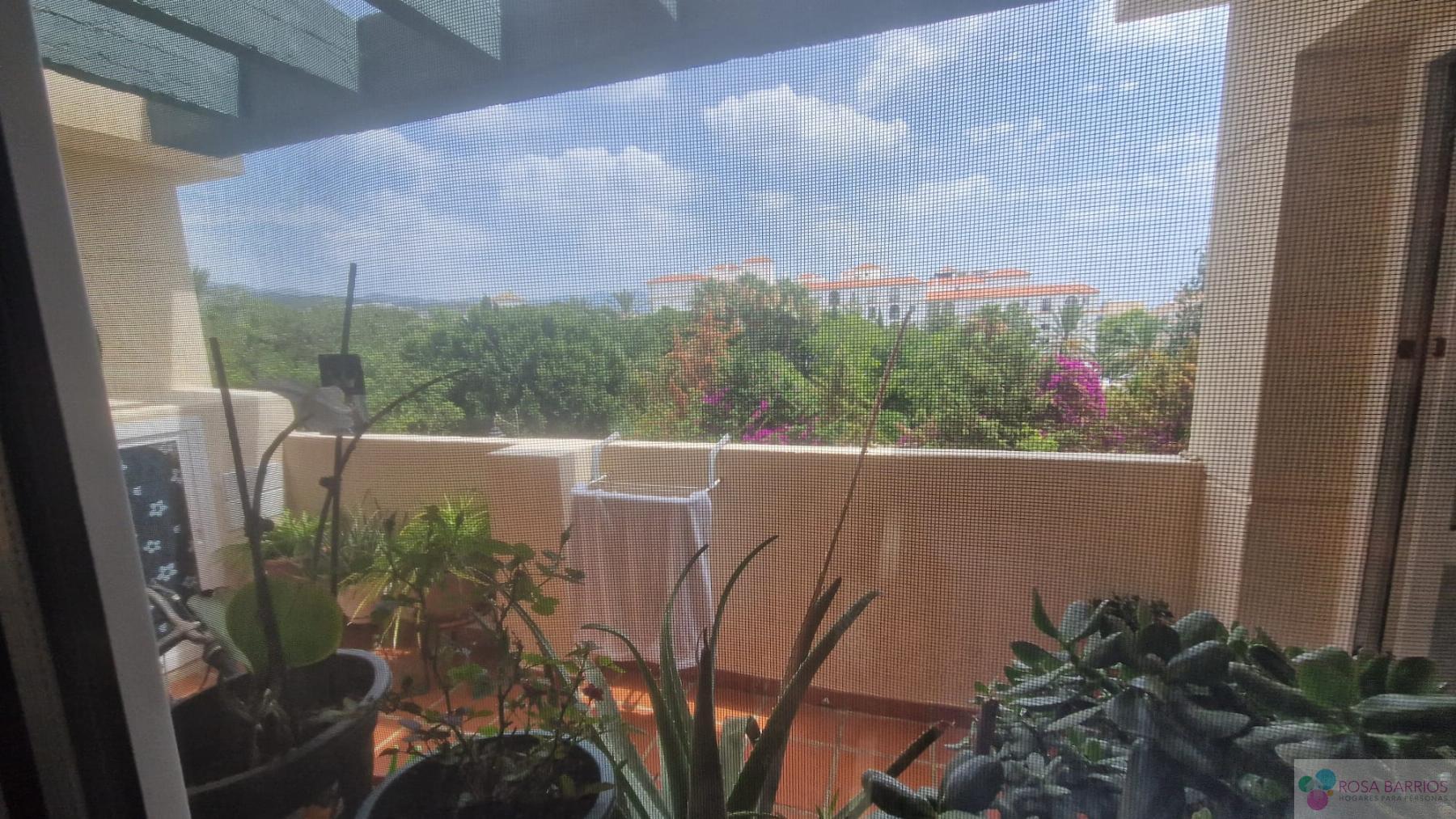 For sale of penthouse in Estepona