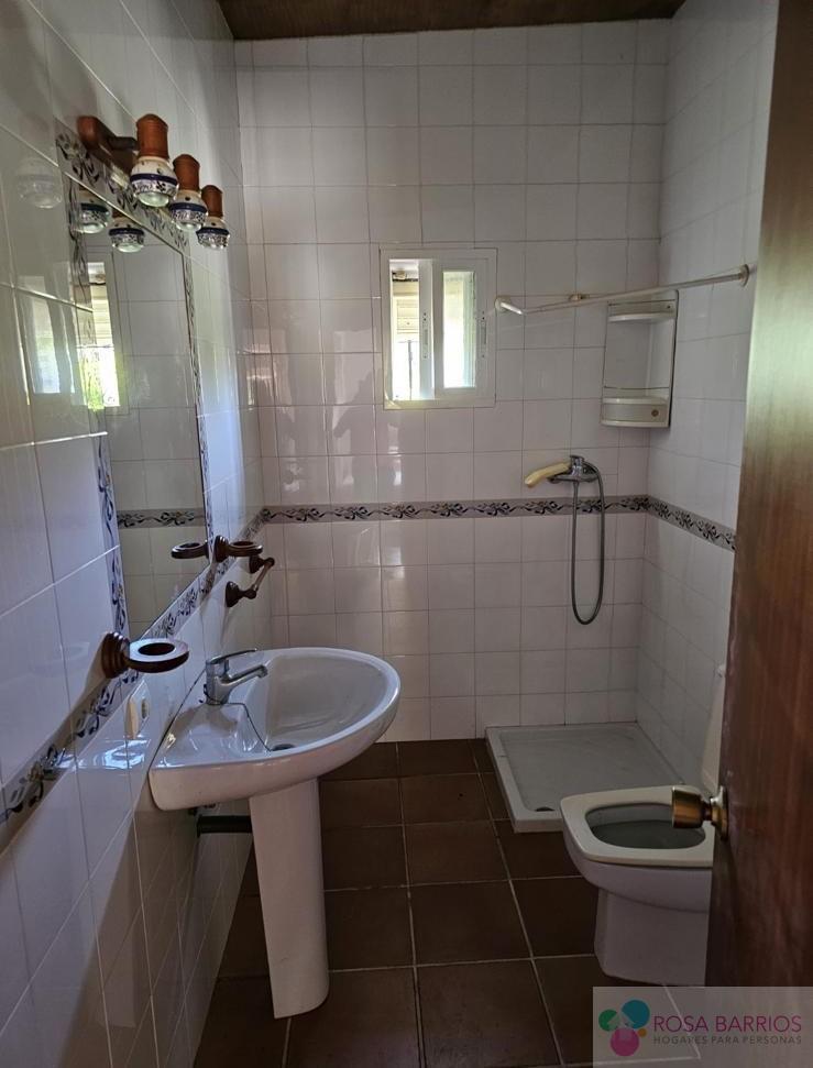 Venta de finca rústica en Estepona