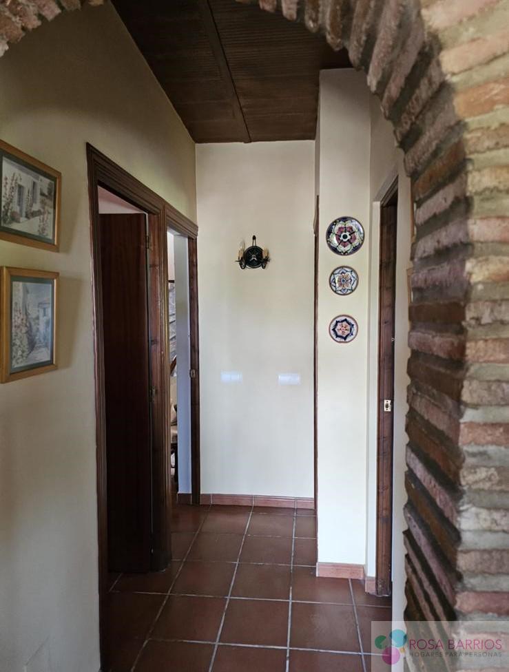 Venta de finca rústica en Estepona