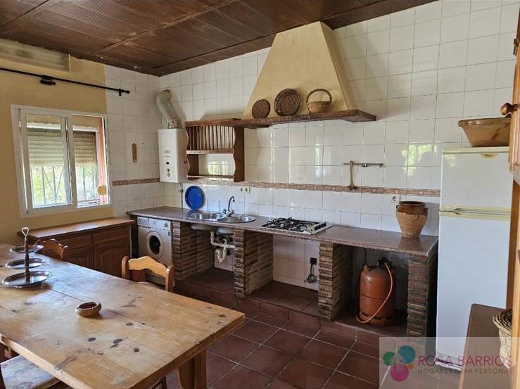 Venta de finca rústica en Estepona