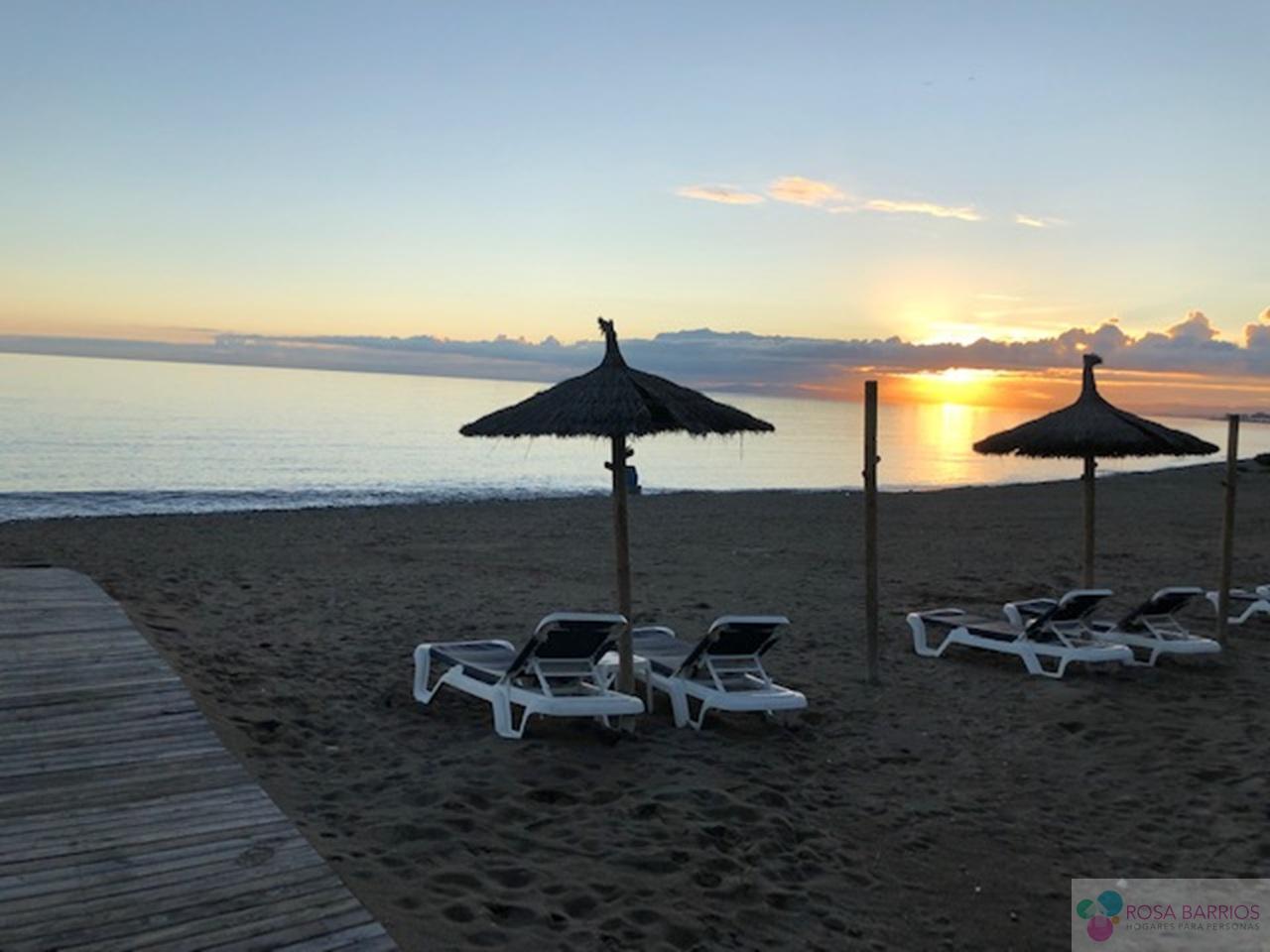 Playa