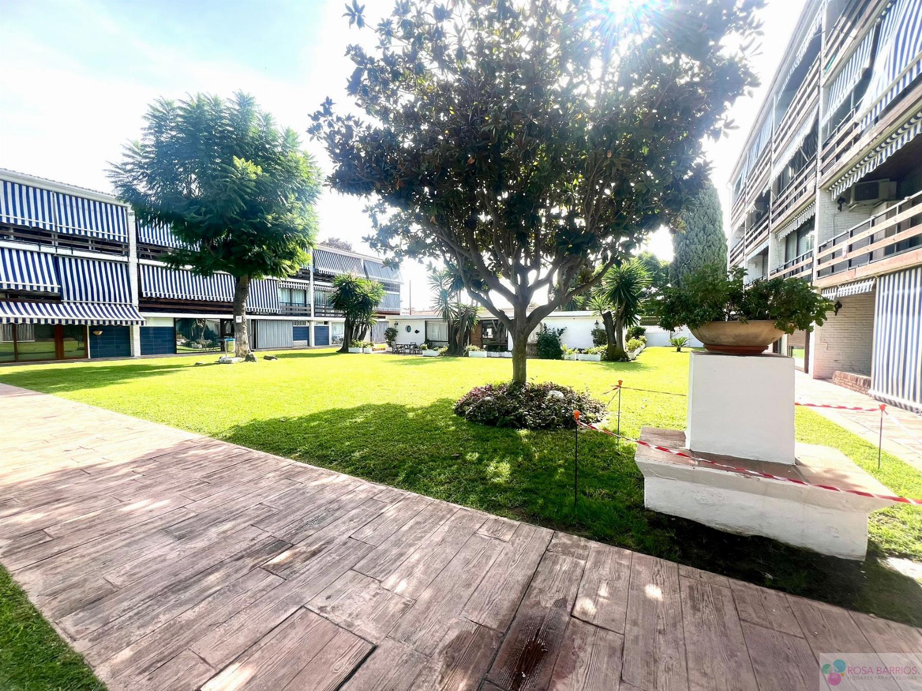 Venta de piso en San Pedro de Alcántara Venta de piso en San Pedro de Alcántara