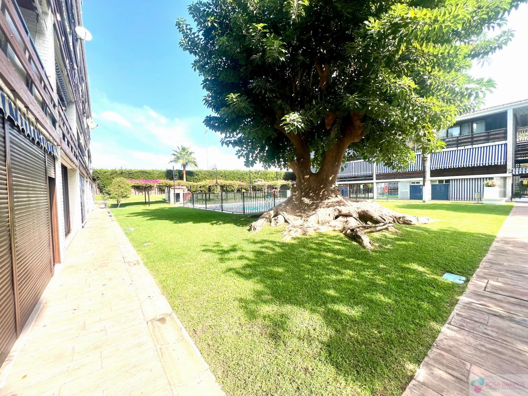 Venta de piso en San Pedro de Alcántara Venta de piso en San Pedro de Alcántara