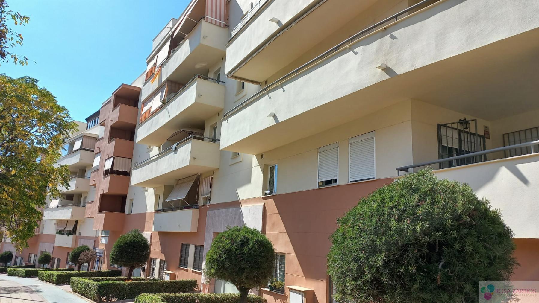 Venta de piso en Estepona Venta de piso en Estepona