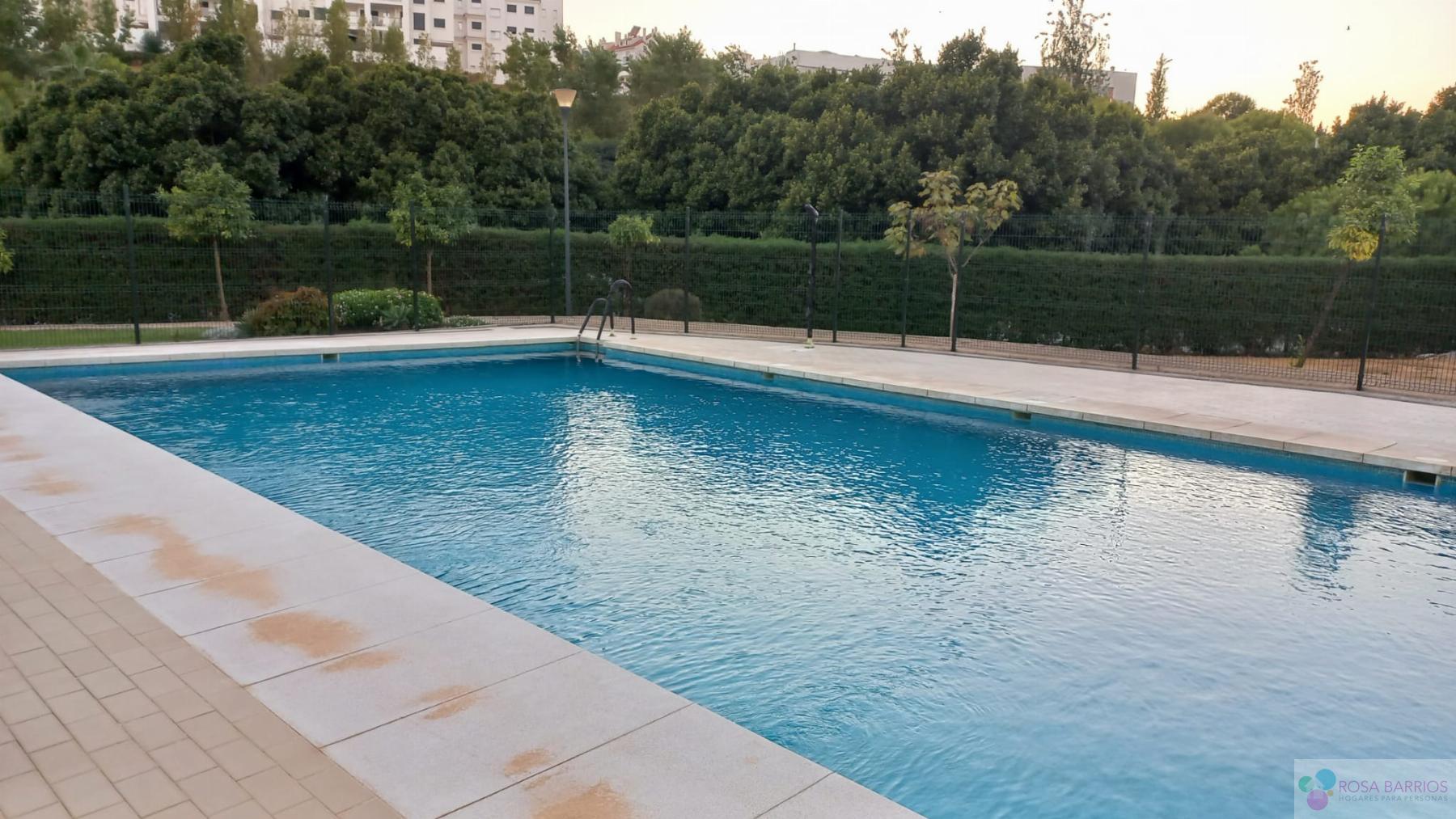 Venta de piso en Estepona Venta de piso en Estepona