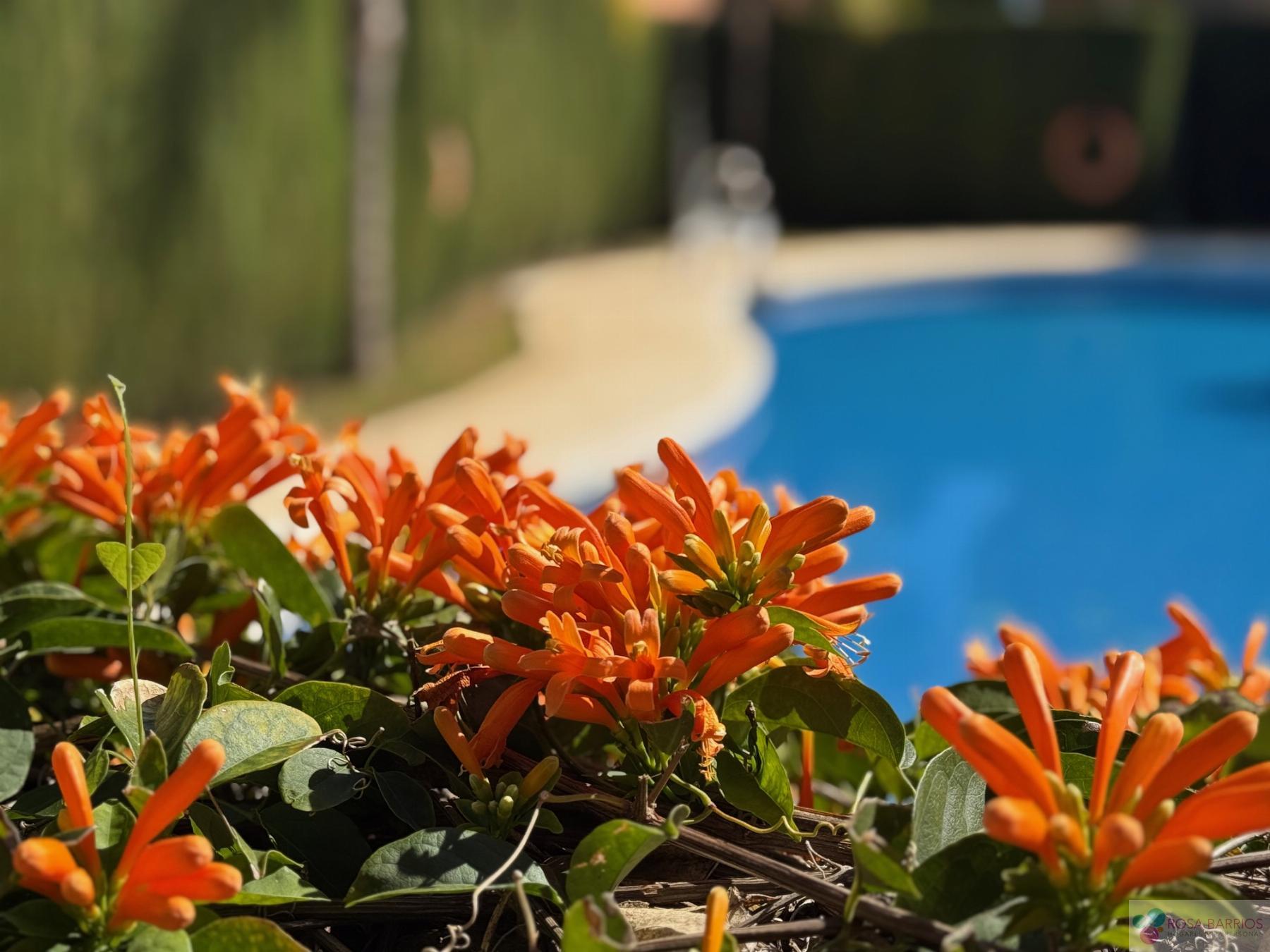 Venta de casa en Estepona