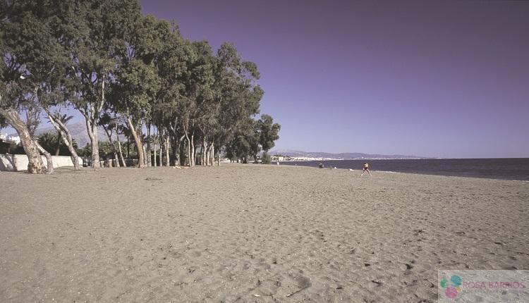 Venta de piso en San Pedro de Alcántara