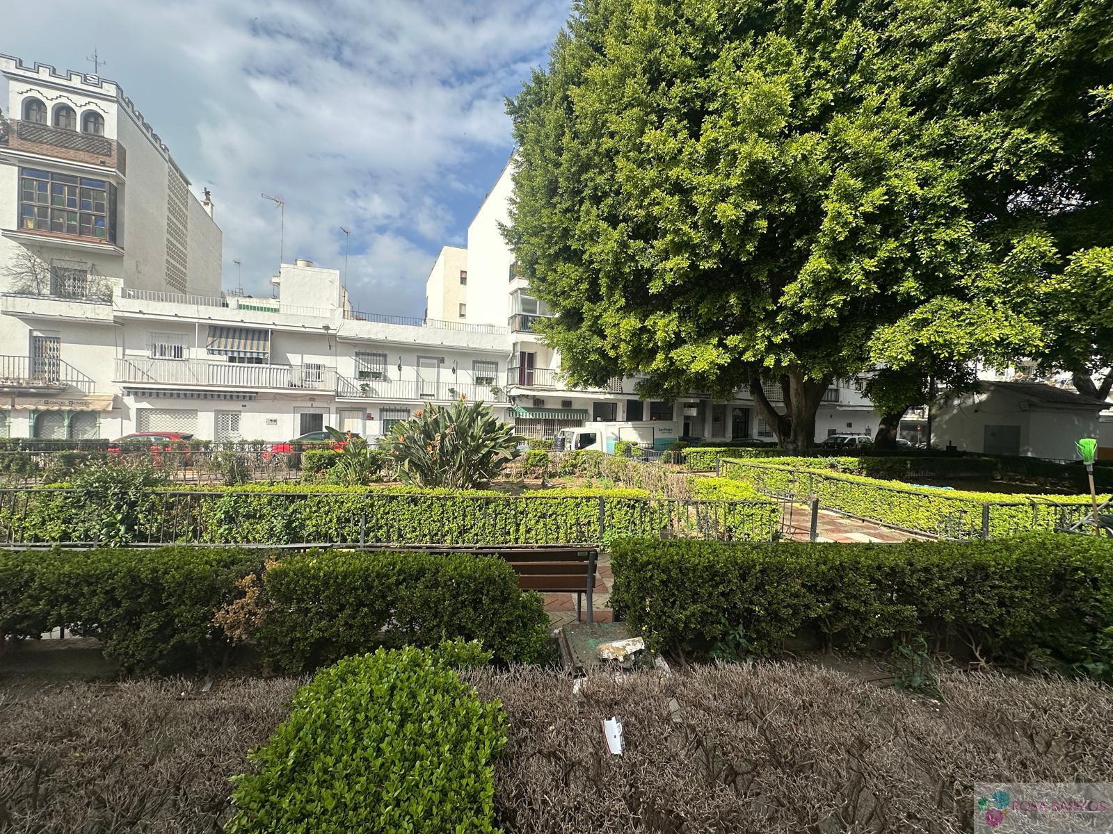 Venta de local en San Pedro de Alcántara