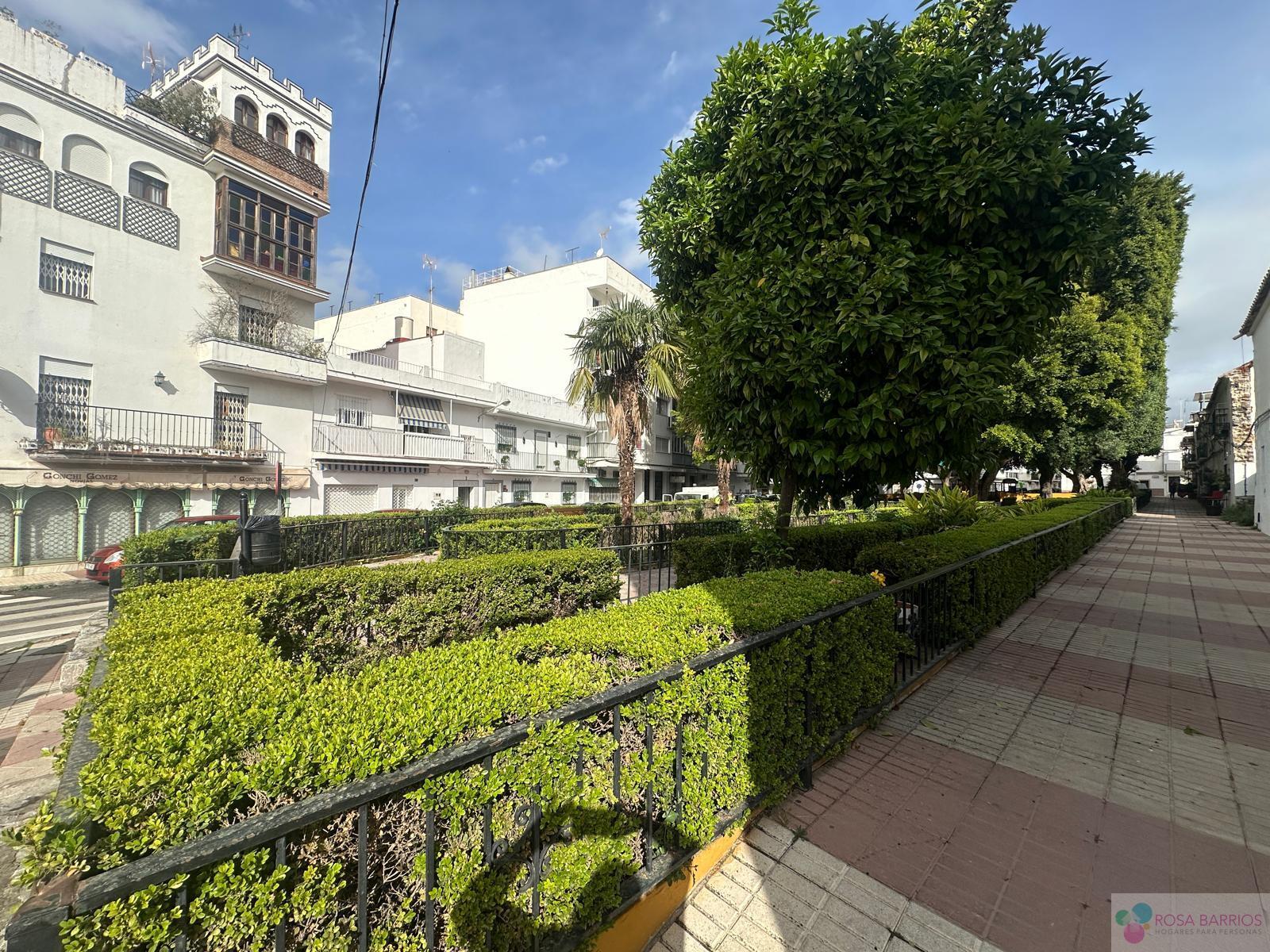 Venta de local en San Pedro de Alcántara