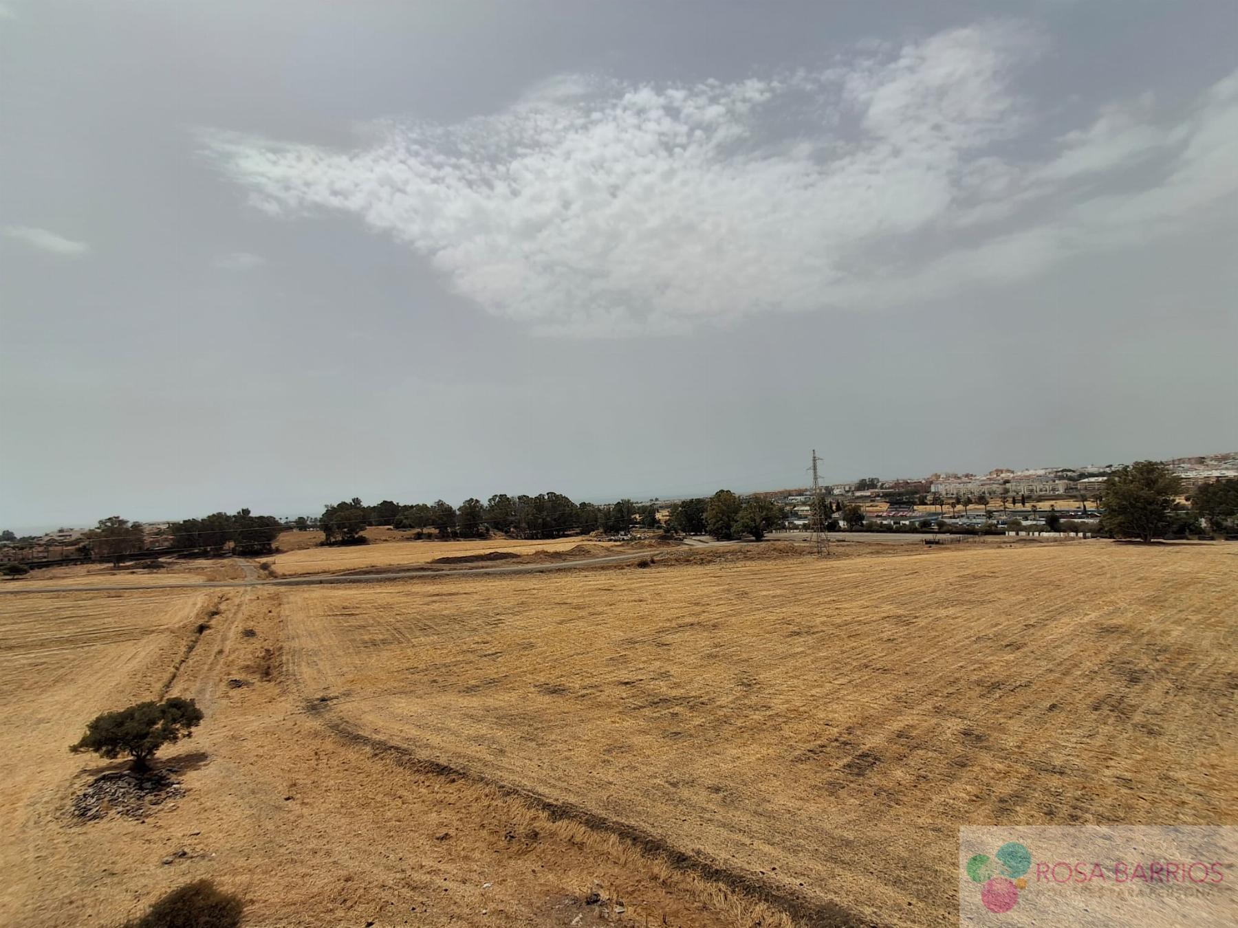Venta de piso en Nueva Andalucía