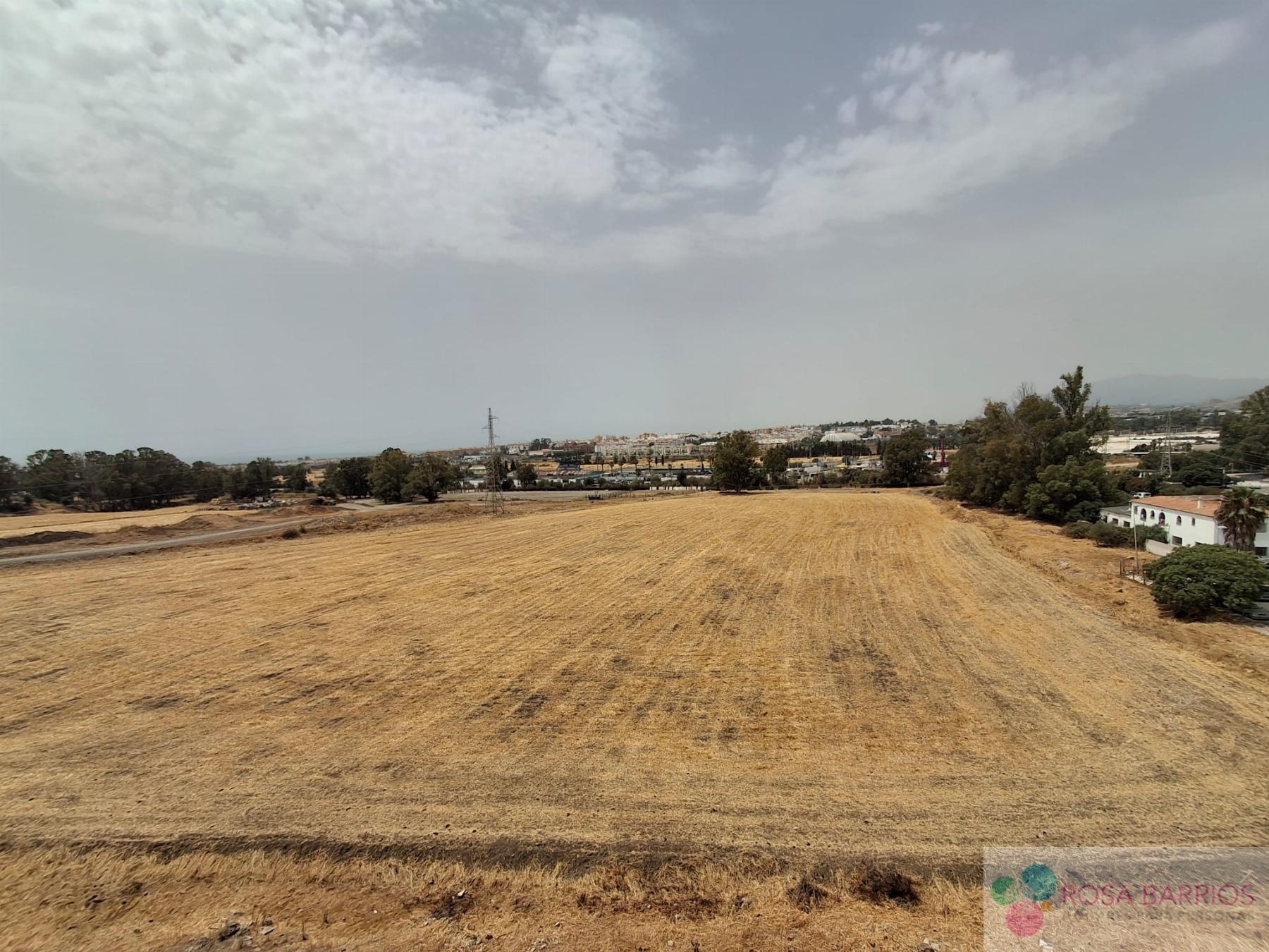 Venta de piso en Nueva Andalucía