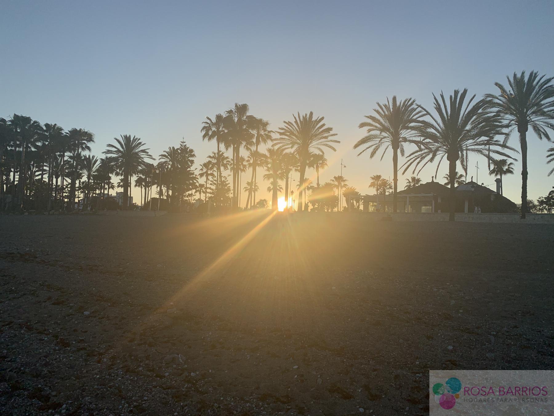 Venta de terreno en San Pedro de Alcántara