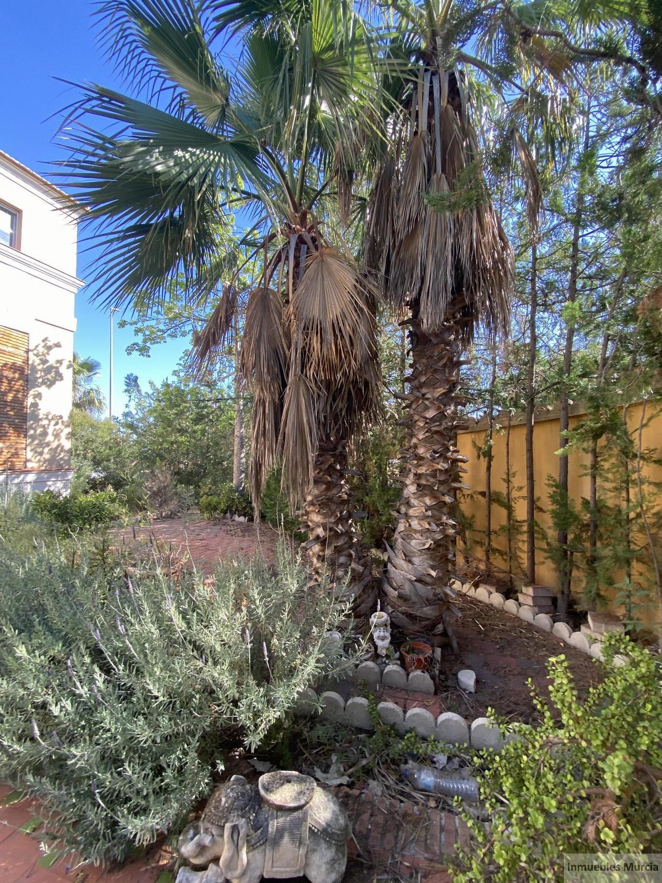 Venta de chalet en Murcia