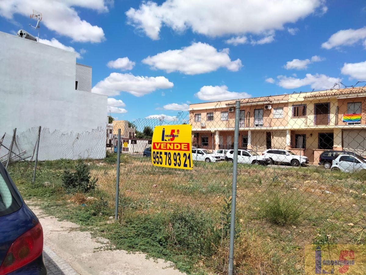 For sale of land in La Algaba