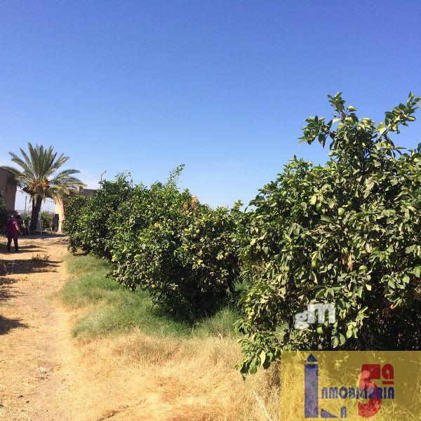 Venta de terreno en La Algaba