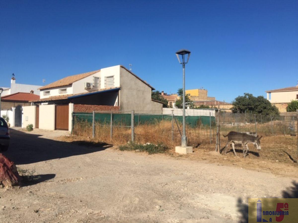 For sale of land in La Algaba