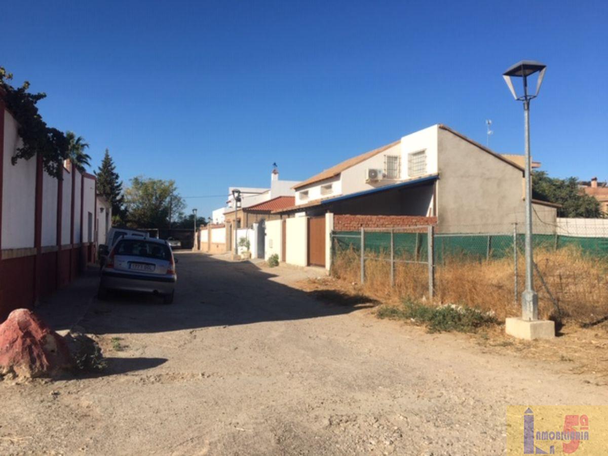 For sale of land in La Algaba