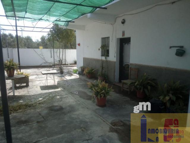 For sale of rural property in La Algaba