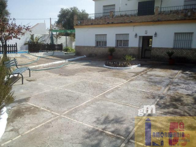 For sale of rural property in La Algaba