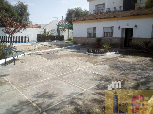 For sale of rural property in La Algaba