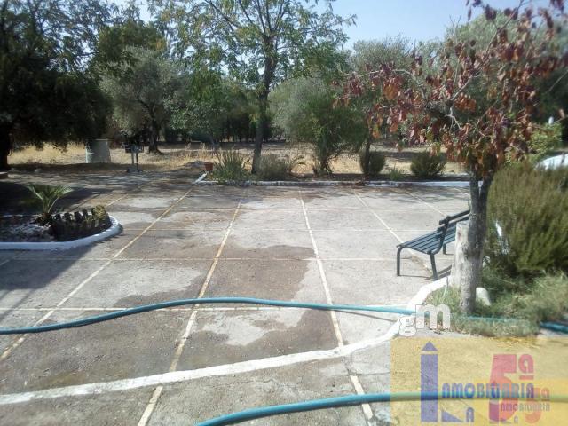 For sale of rural property in La Algaba