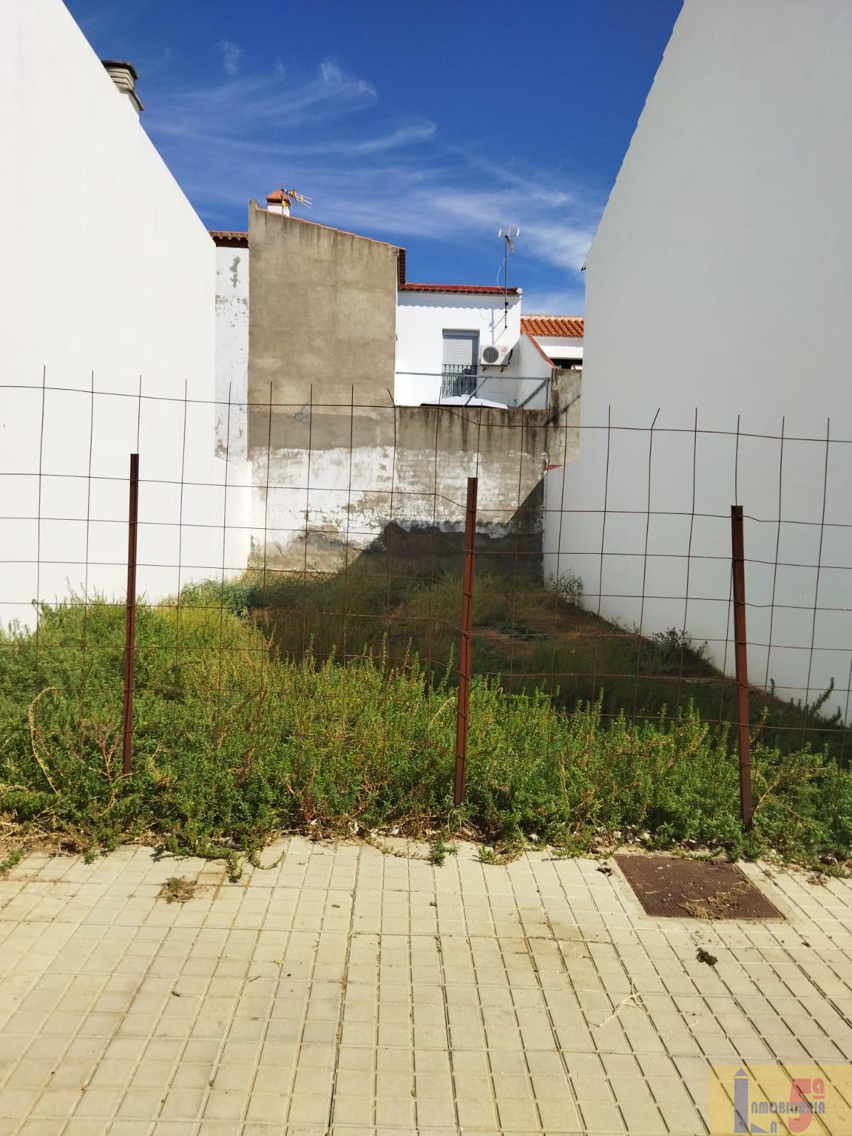 For sale of land in El Pedroso