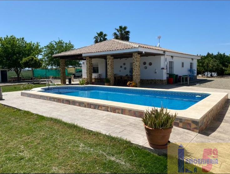 For sale of rural property in La Algaba