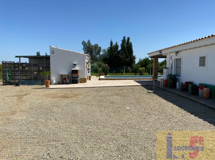 For sale of rural property in La Algaba
