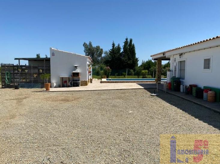 For sale of rural property in La Algaba