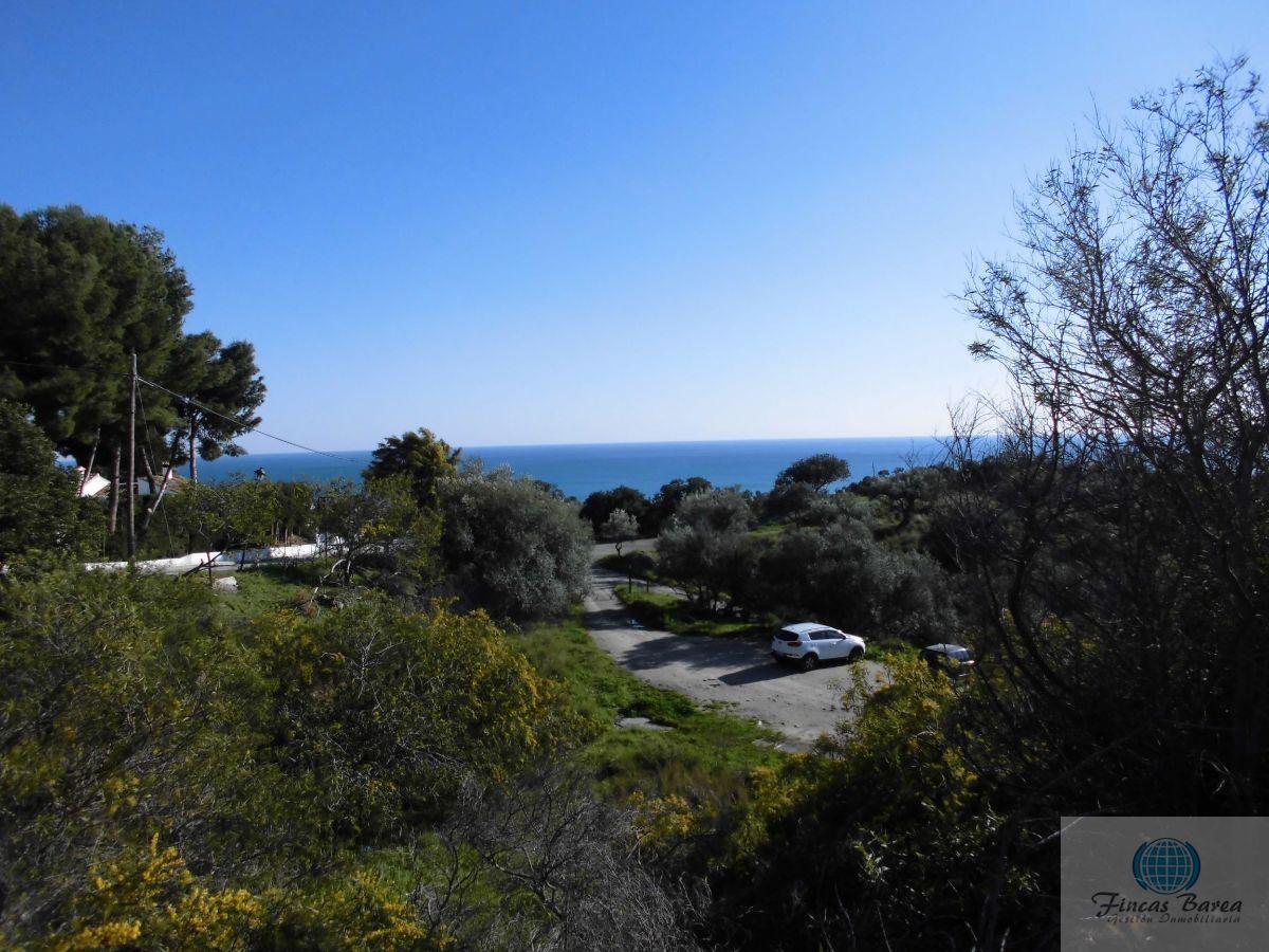 For sale of land in Chilches