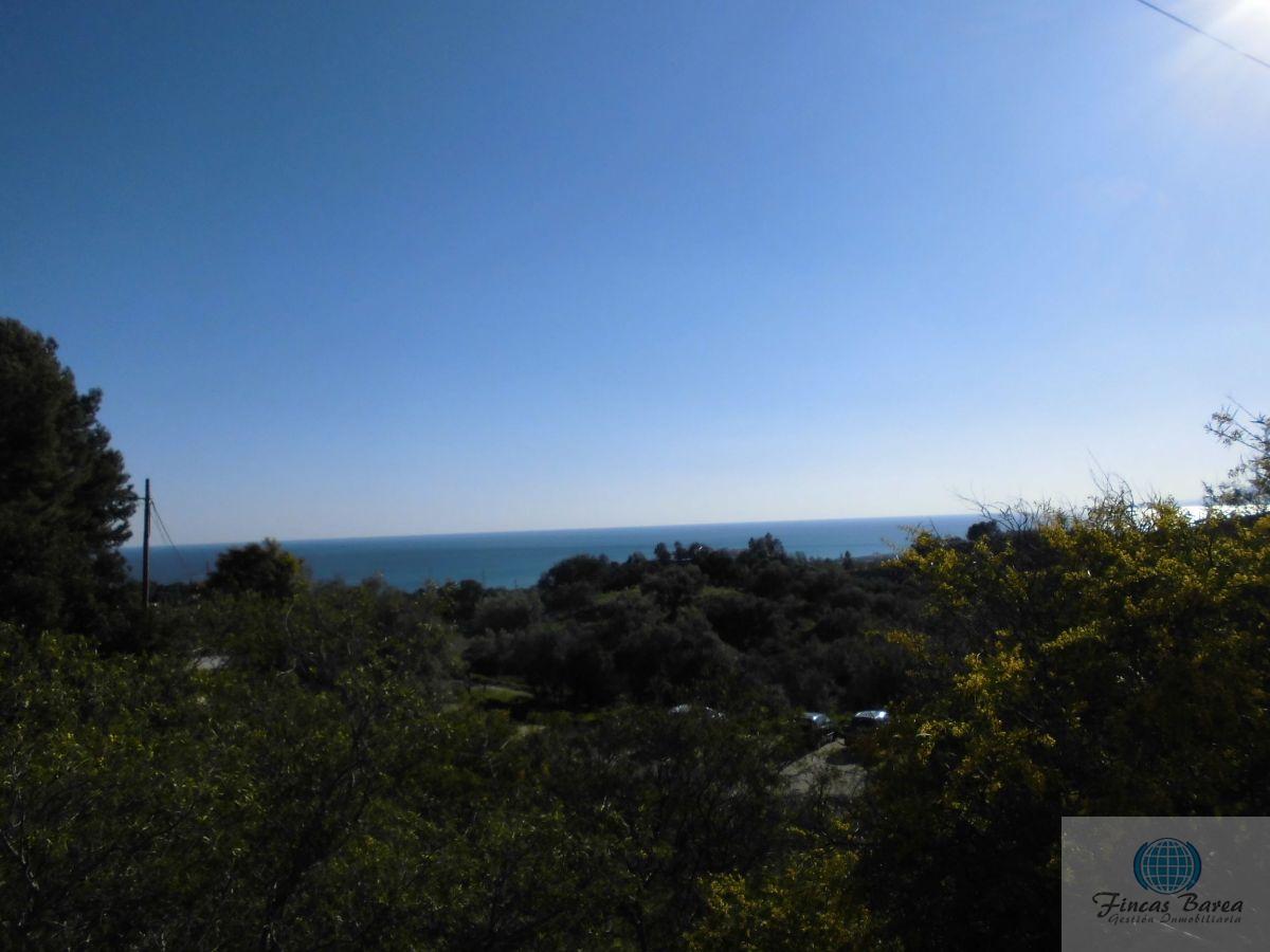 For sale of land in Chilches