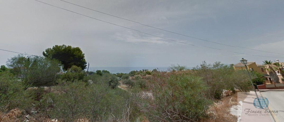 For sale of land in Chilches