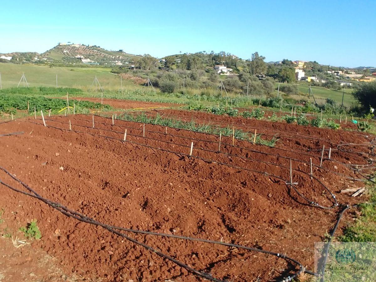 For sale of rural property in Mijas Costa