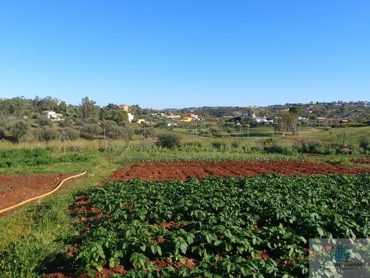 For sale of rural property in Mijas Costa
