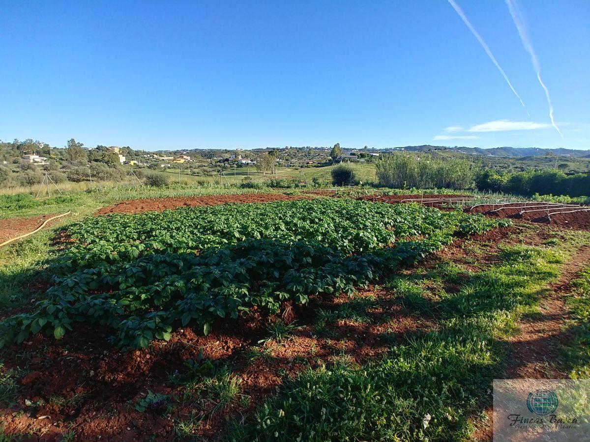 For sale of rural property in Mijas Costa