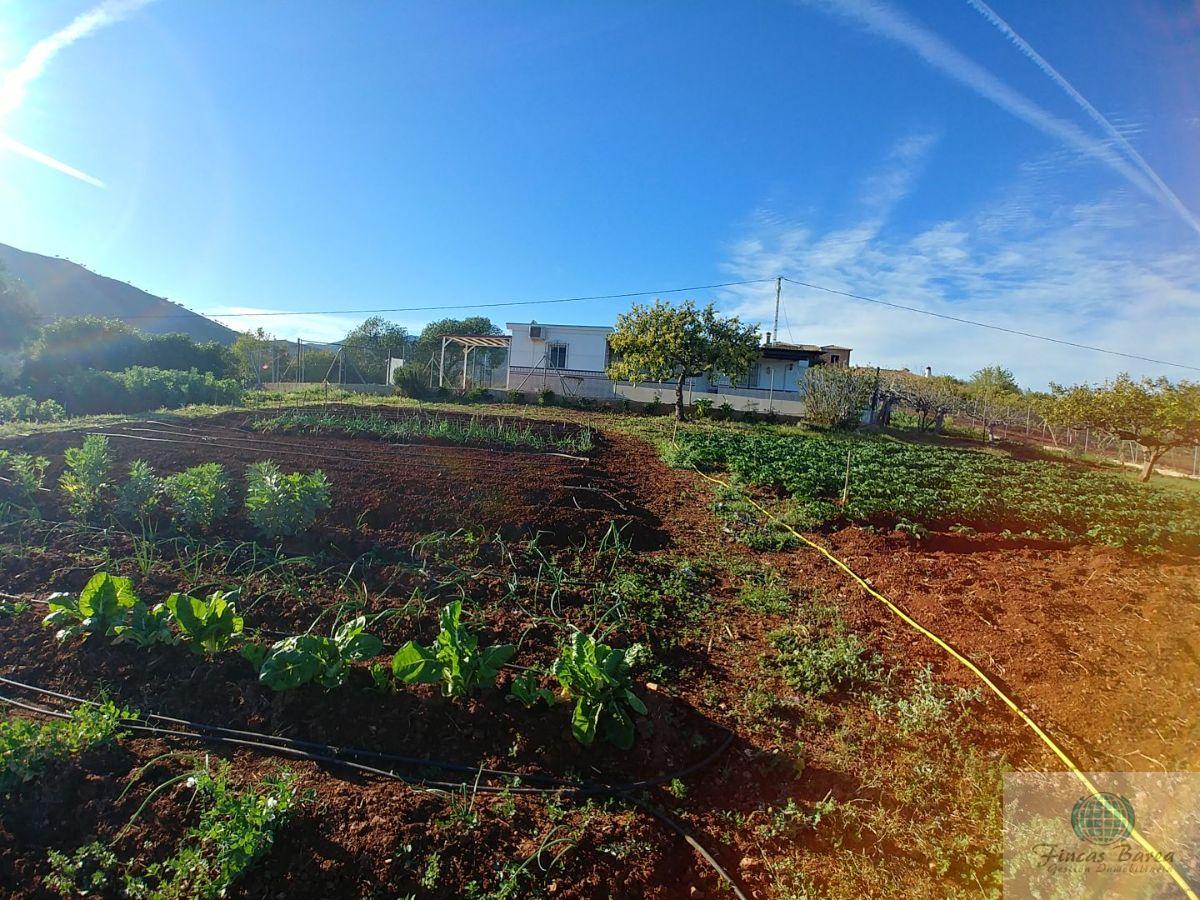 For sale of rural property in Mijas Costa