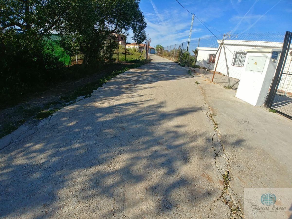 For sale of rural property in Mijas Costa