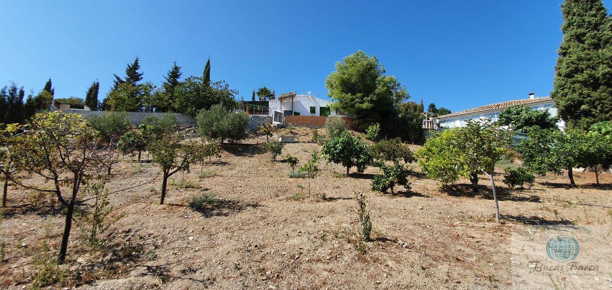 For sale of rural property in Fuengirola