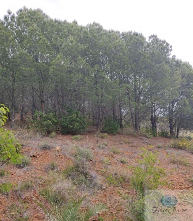 For sale of land in Mijas