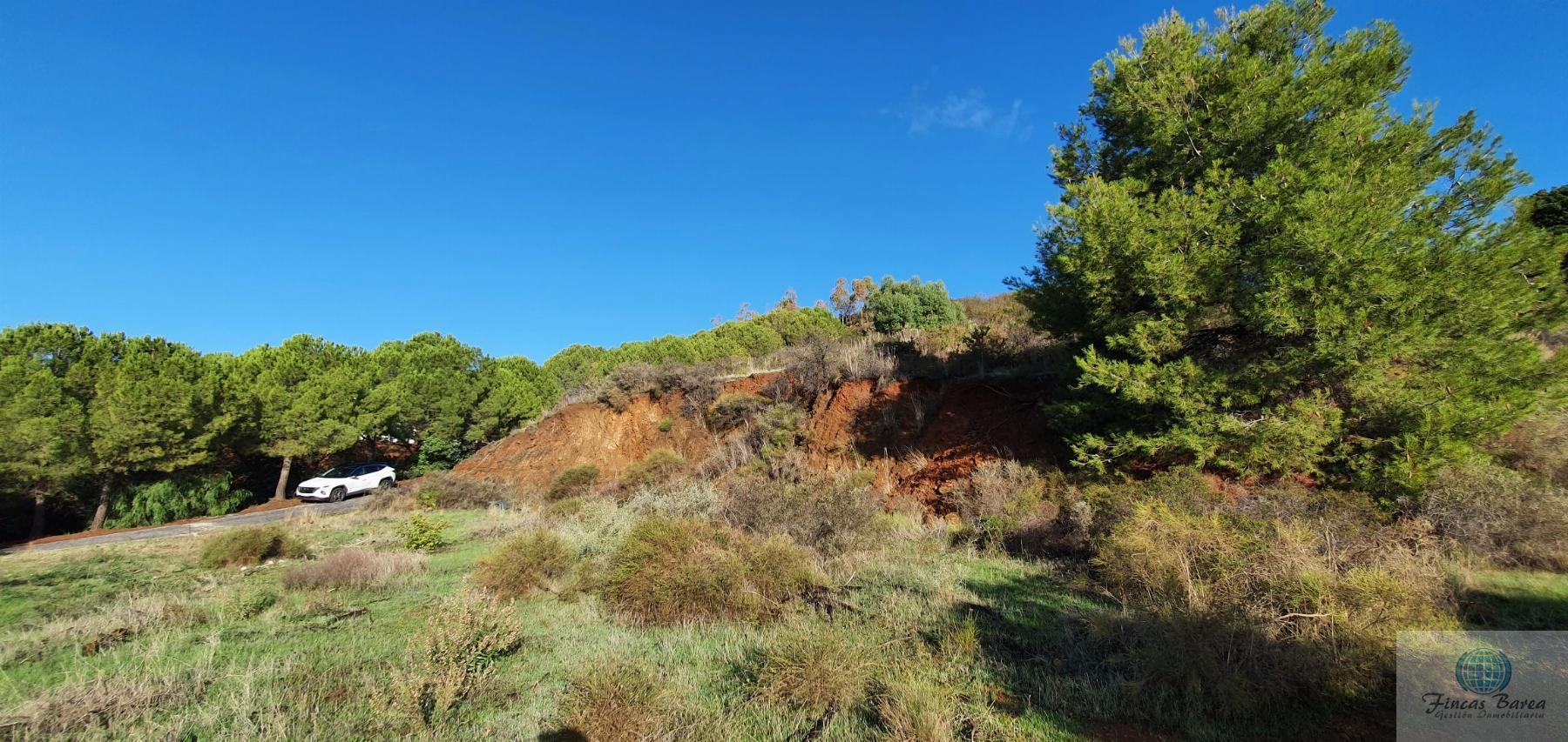 Venta de terreno en Mijas