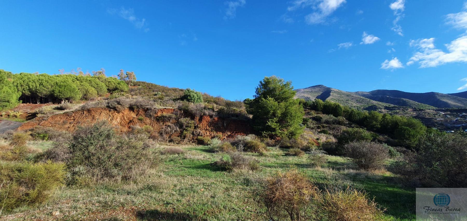 For sale of land in Mijas