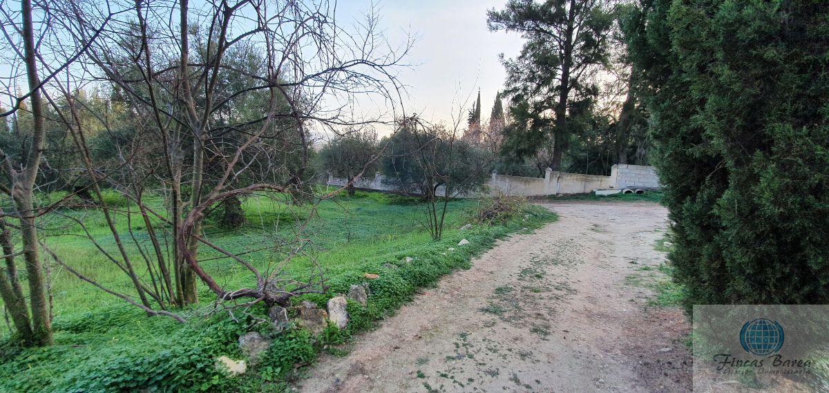 Venta de finca rústica en Alhaurín el Grande