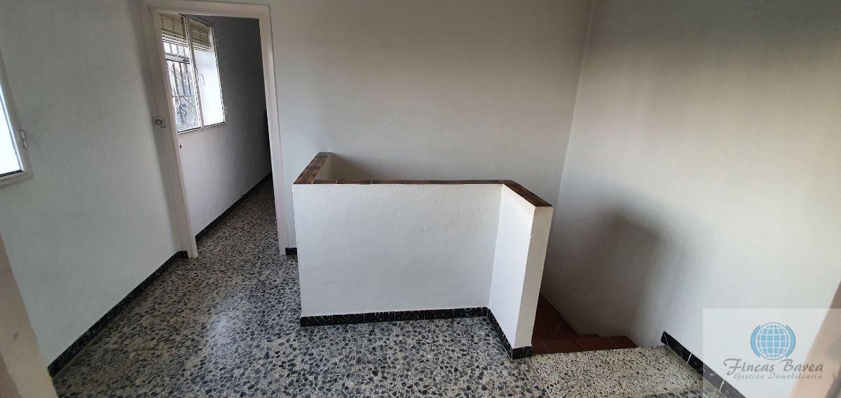 Venta de finca rústica en Alhaurín el Grande