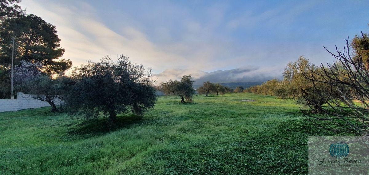 Venta de finca rústica en Alhaurín el Grande