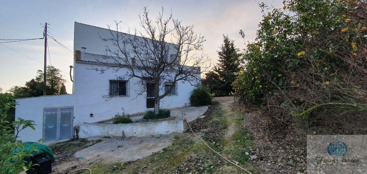 Venta de finca rústica en Alhaurín el Grande