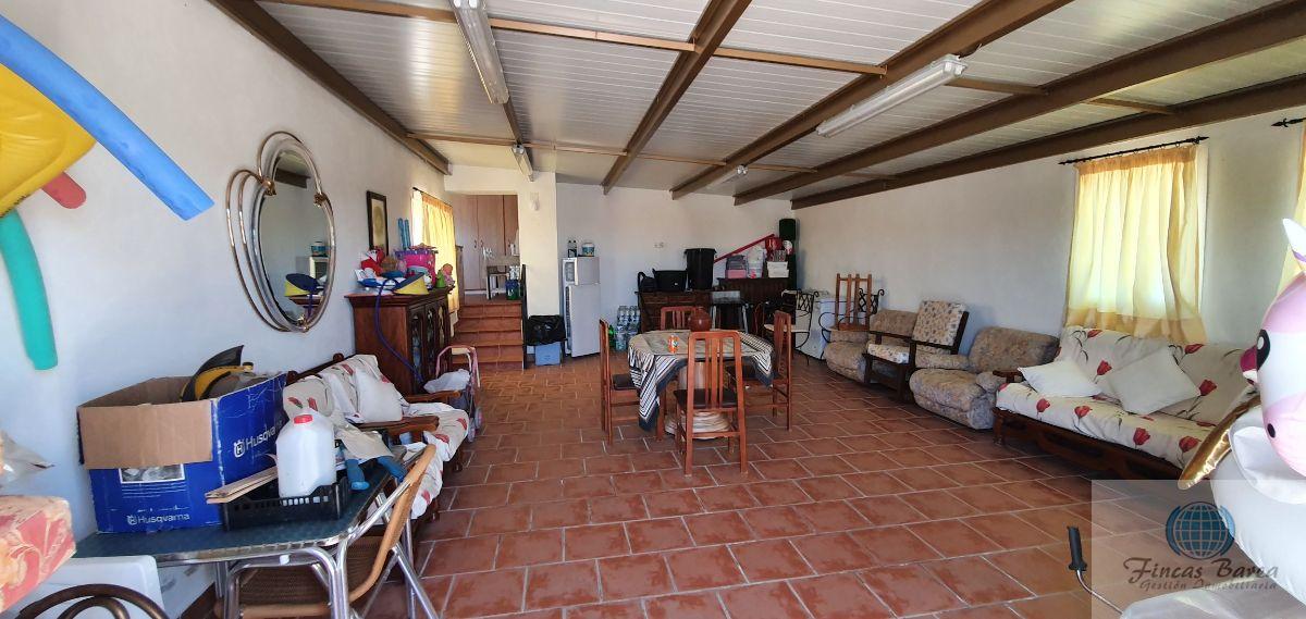 Venta de finca rústica en Mijas Costa